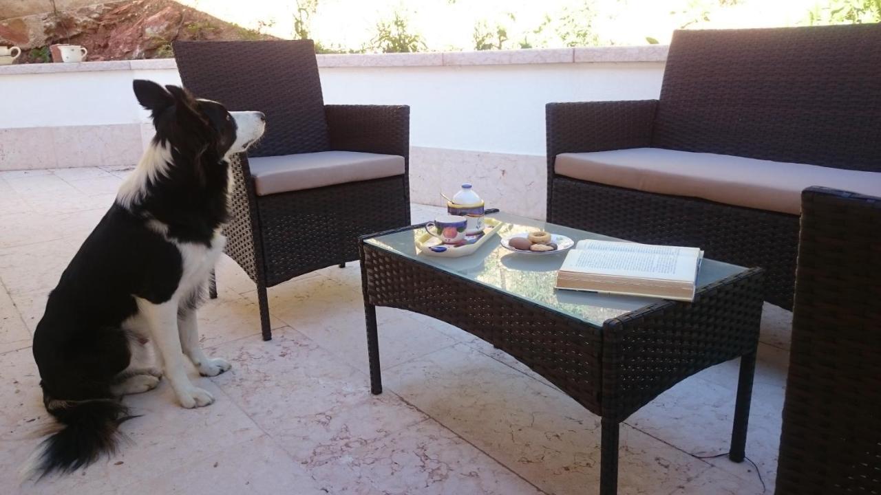 Bed & Breakfast Happy Guest Caprino Veronese